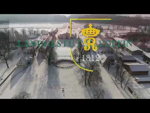 Quat-Royal, DSP, Hengst, v. Quaterback - Dressage Royal, * 2012