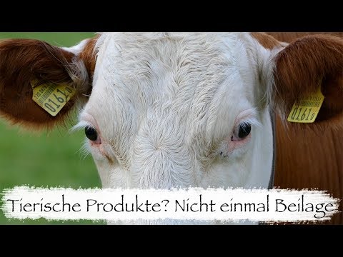 VEGANISMUS – Argumente für eine vegane Lebensweise