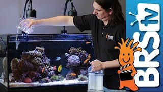How To: Dosing 2 Part in Your Reef Tank