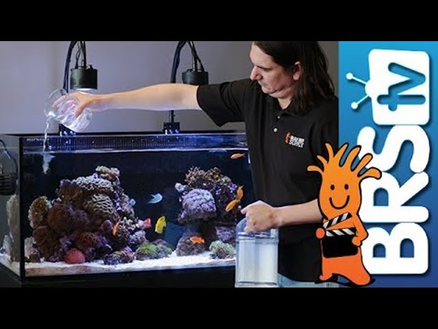 How To: Dosing Two Part in Your Reef Tank
