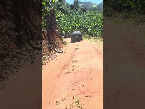 Estrada particular, na zona rural de Desterro do Melo, MG. #humor #aventura