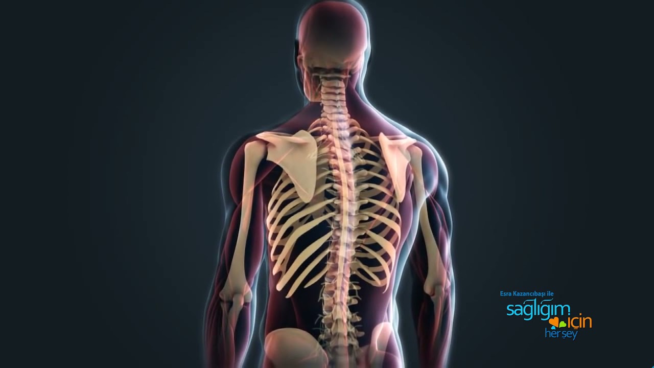 Sağlığım İçin Herşey 8 Mayıs Cumartesi Programı