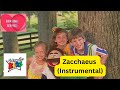 Cedarmont Kids : Zacchaeus (Instrumental)