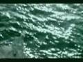 Colonia - Deja Vu 