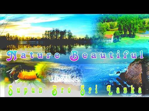 Nature Wonderful Place