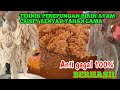TEHNIK PENEPUNGAN BIKIN AYAM CRISPY KRIBO RENYAH TAHAN LAMA