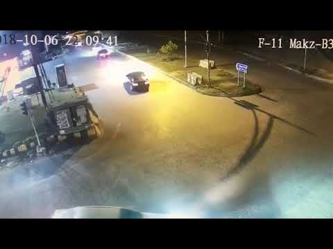 Dog Robbers in islamabad 2 German shefard dogs F 11 markaz