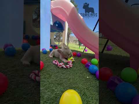 Video 3