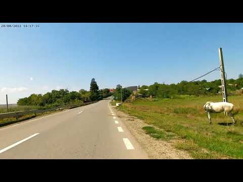 Călător pe motor - Hălceni ( Strada principală ) tur retur