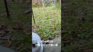 戸隠キャンプ場朝