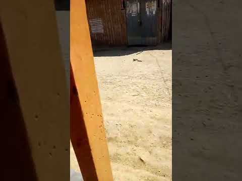 megamix trance dj hooter