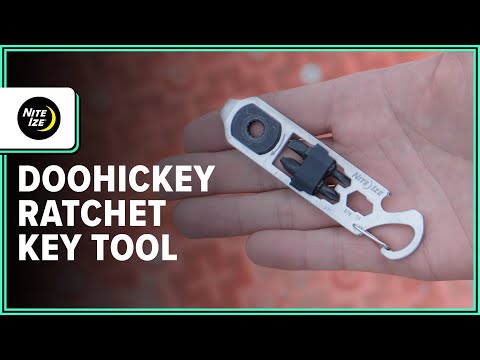 Doohickey Bug Trait Key