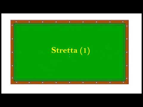 Biliardo specialità Stecca 5/9 Birilli - Stretta (1)