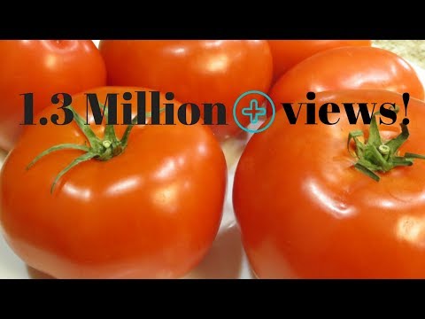 download lagu mp3 mp4 Keep Tomatoes Fresh Longer, download lagu Keep Tomatoes Fresh Longer gratis, unduh video klip Keep Tomatoes Fresh Longer