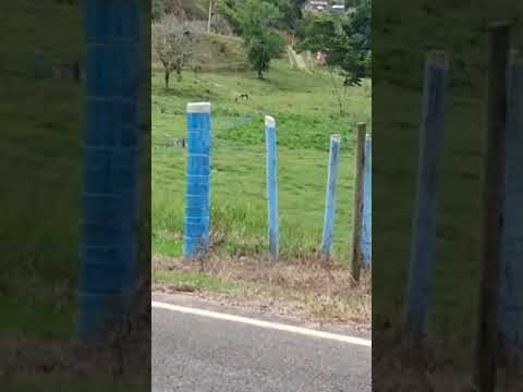 13 de janeiro de 2026 Jucuruçu Bahia