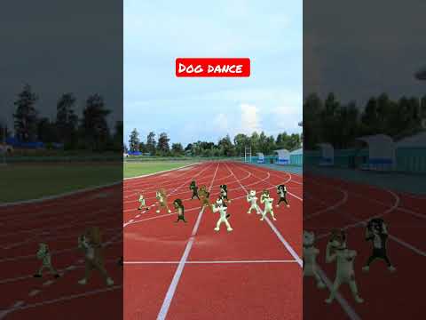 Dog Dance #dog #dance #laibajahanaqsa#aqsa #shorts