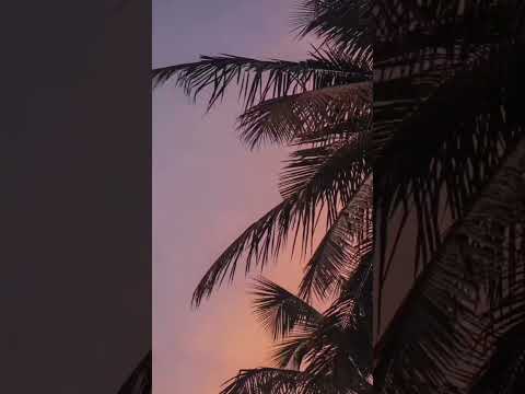 Nature #nature #flowers #photography