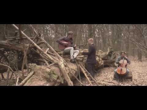 Wayfarer - From The Studio Into The Woods (Panasonic)