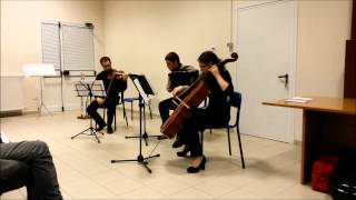 preview picture of video 'Trio Miele in Silcher Trio op.123 di R.GRESS'