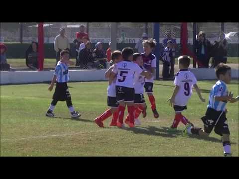 RESUMEN DE INFERIORES - TORO CLUB vs. SAN MARTIN (VM)