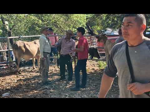 Tiangue de Osicala, Morazán, El Salvador, viernes 17 de abril 2026