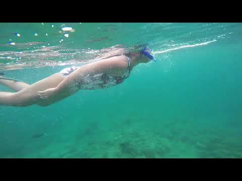 First time Free diving