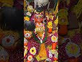 Tere Dham Ka Pani Bala Ji Balaji Jaihanuman Tranding