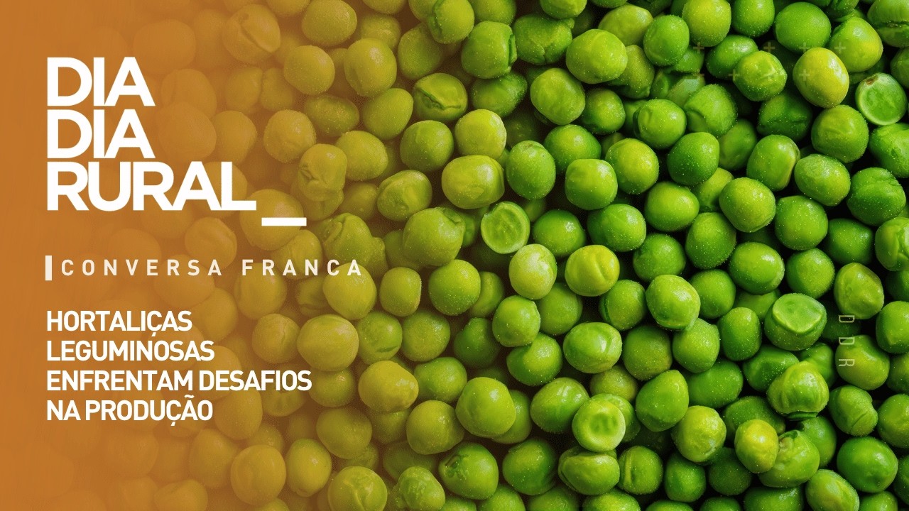 Hortaliças leguminosas enfrentam desafios na produção