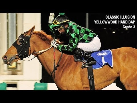 CLASSIC ILLUSION - YELLOWWOOD HANDICAP (Grade 3)