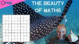 MantaRay and the Joy of Maths