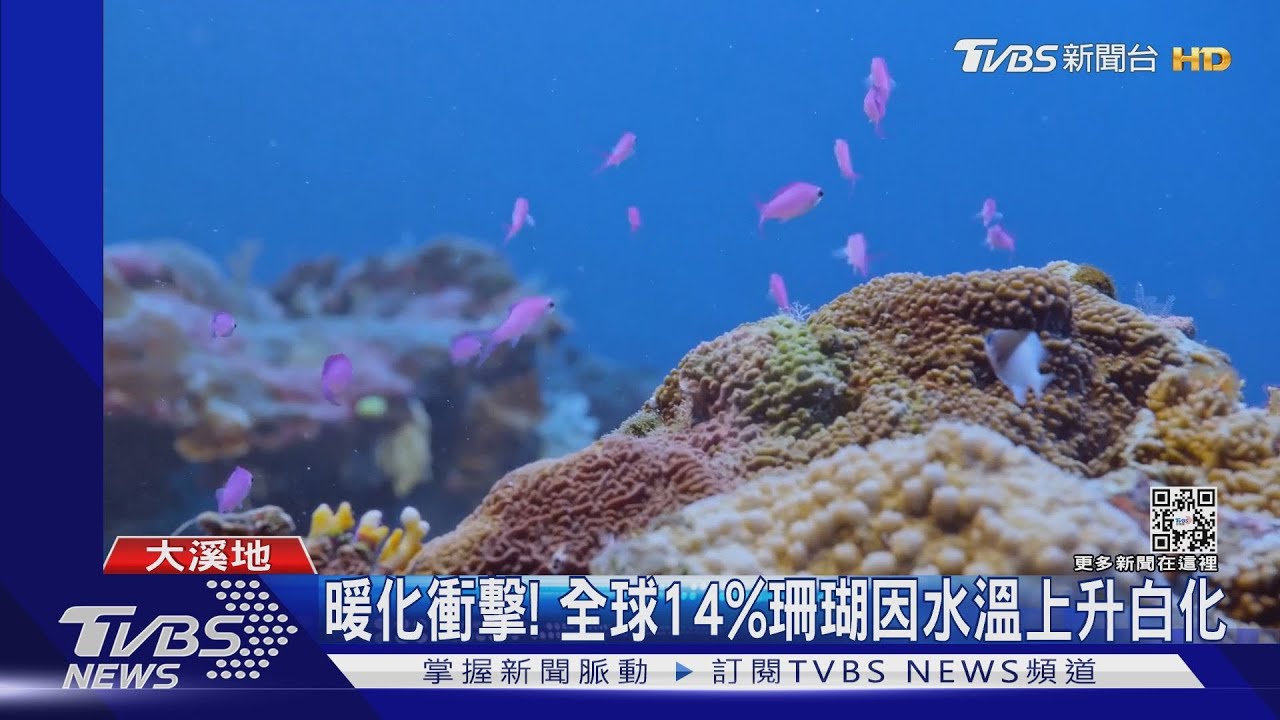 世界最大原始珊瑚礁 藏大溪地外海水深30m處