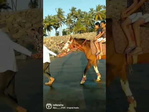 mihika enjoying beach 🏖️
