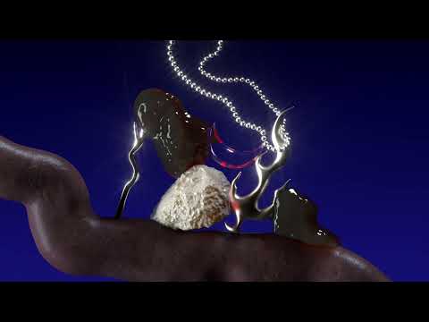 TAU030 | Nandu - Symptoms of Humanity