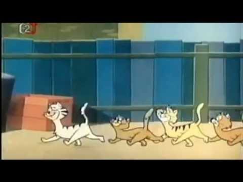 Felix - kočičí dům PSOZ