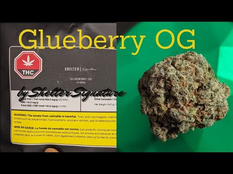 Shelter Signature - Glueberry OG - Legal Cannabis Review