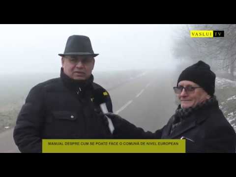 COMUNA VIIȘOARA: MANUAL DESPRE CUM SE POATE FACE O COMUNĂ DE NIVEL EUROPEAN