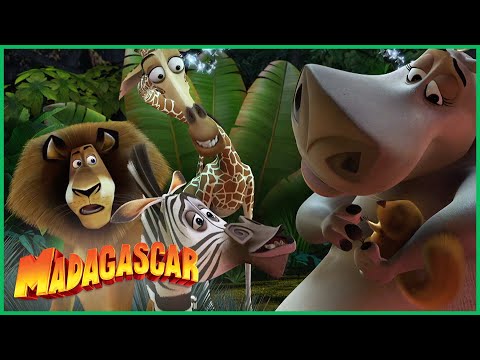 Capa de Madagascar | Você é Tão Fofinho! | Desenhos Animados em Português