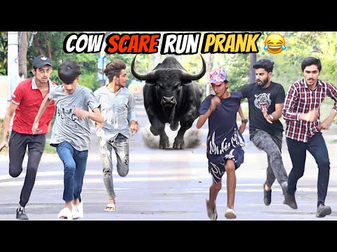 Fake Cow Run Prank | Most Funny Video 😂 @ThatWasCrazy