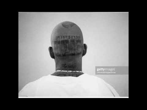 Lil Squirrel..  lil ghetto G..