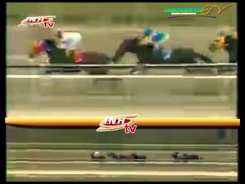 LA RINCONADA 8 CARRERA DOMINGO 18 DE ENERO DEL 2015