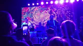 The Lees of Memory - The Art of Dying [Superdrag Cover]