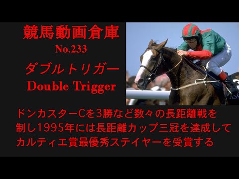 【競馬】ダブルトリガー　Double Trigger【No233】