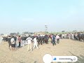 Rohtak Mela Winer All Video