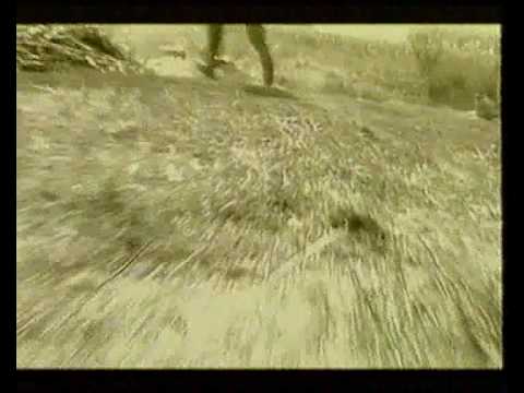 Video Placeholder