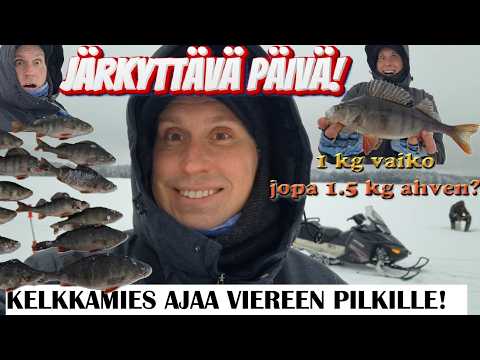 ‼️PILKILLÄ OSA 22:✨️ HIRVITTÄVÄ AHVEN ILMESTYY!!! | Nouseeko se 1.5 kg ahven uudeksi enkaksi???