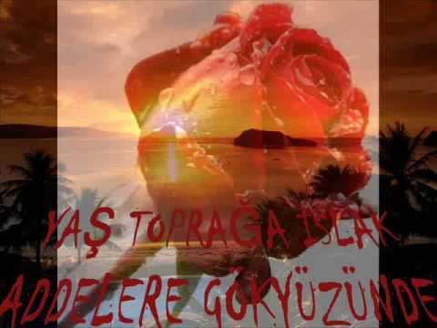 SENİ SEVİYORUM surkent_benusen