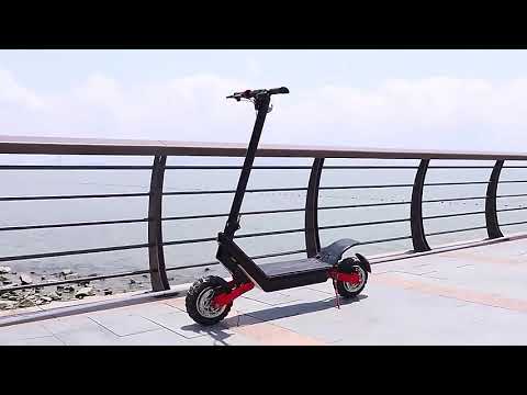 Terrain electric scooter AERIUM HX 2400 W Dual black