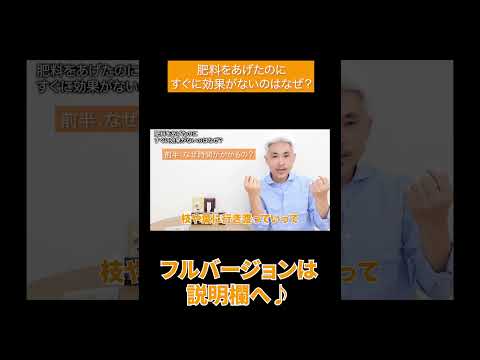 セアノサスの肥料は何ですか？カリフォルニアライラックにいつ肥料を与えるのですか？  庭園