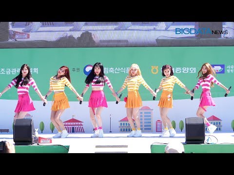 [BIG영상][4K] 립버블(LIPBUBBLE) 'YELLOW PINK' 한돈데이 축하공연