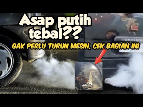 Asap knalpot mobil berwarna putih pekat tebal, ini penyebabnya